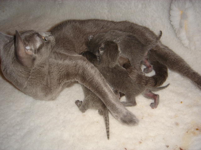 DSC00490.JPG