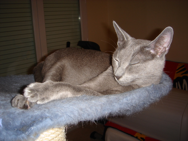DSC00521.JPG