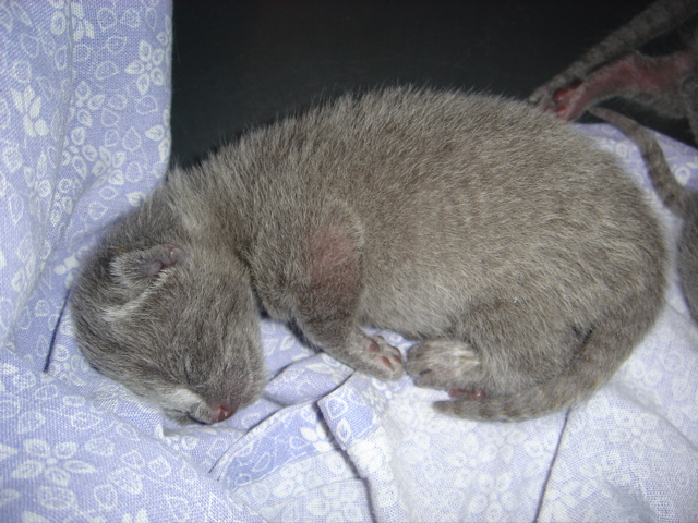 DSC00504.JPG