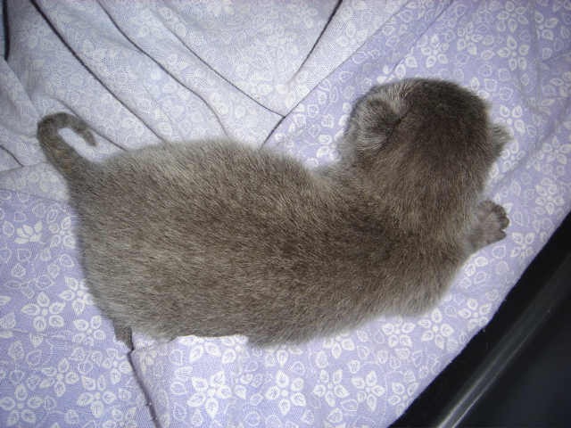 DSC00505.JPG