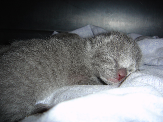 DSC00506.JPG