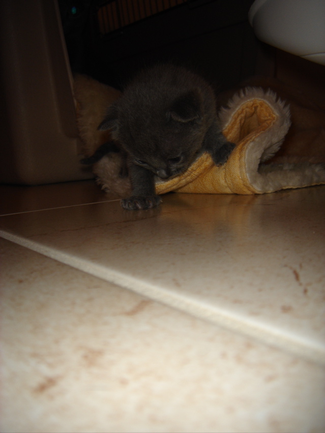DSC00701.JPG