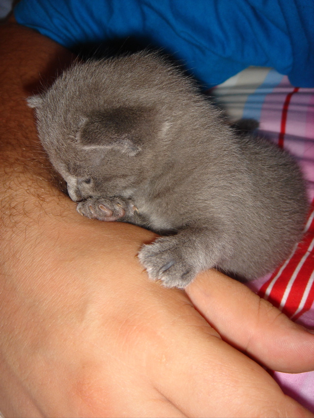 DSC00734.JPG