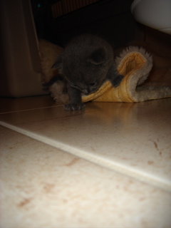 DSC00701.JPG