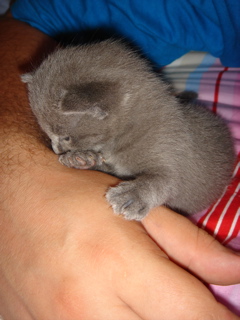 DSC00734.JPG