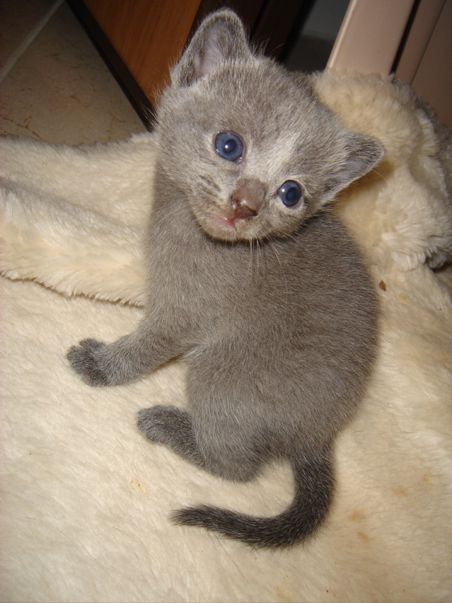 DSC00834.JPG