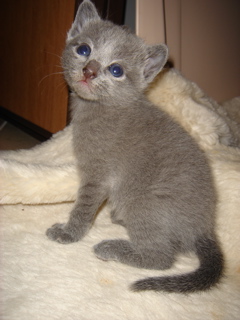 DSC00831.JPG