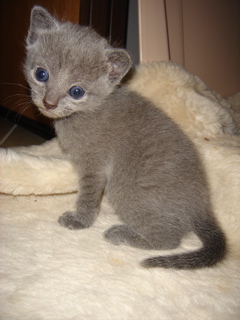 DSC00832.JPG
