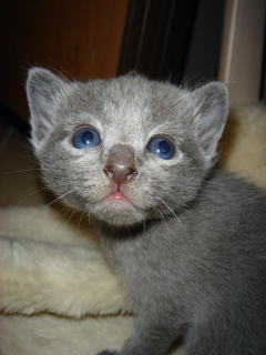 DSC00833.JPG