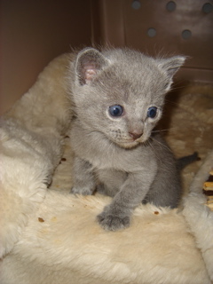 DSC00837.JPG