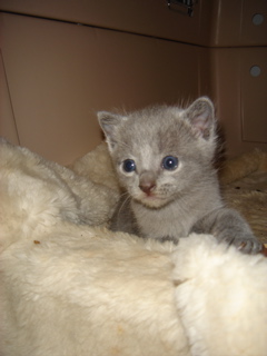 DSC00842.JPG