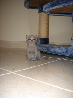 DSC00843.JPG
