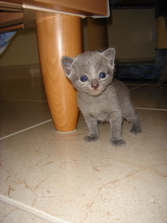 DSC00845.JPG