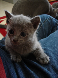 DSC00874.JPG