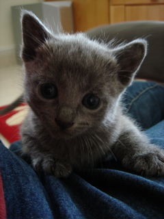 DSC00876.JPG