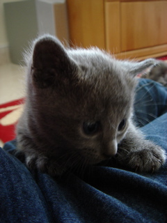 DSC00877.JPG