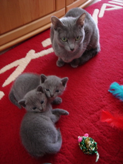 DSC00865.JPG