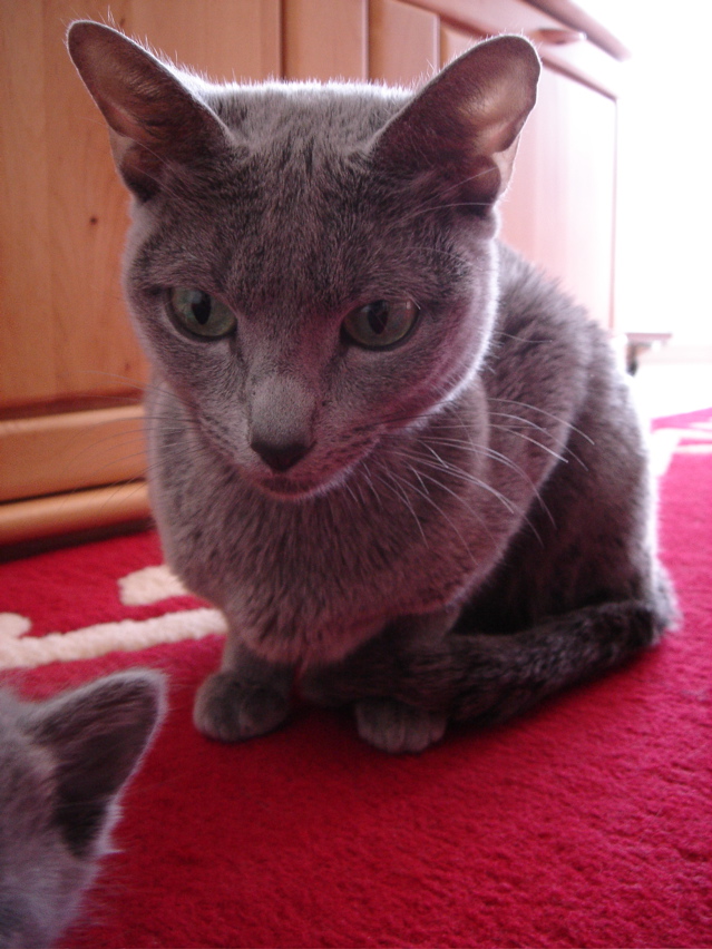DSC00871.JPG