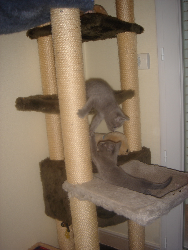 DSC01274.JPG