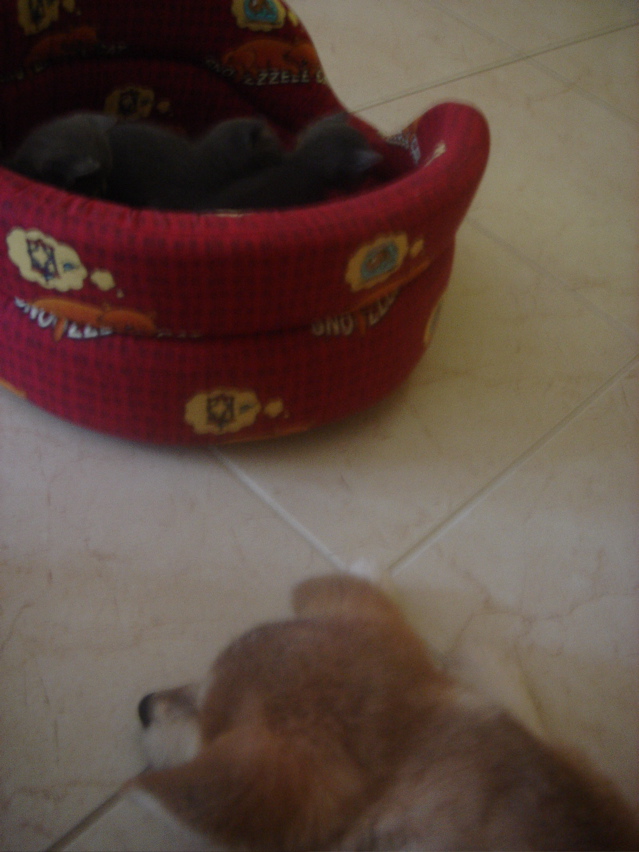 DSC01340.JPG