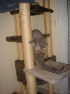 DSC01274.JPG