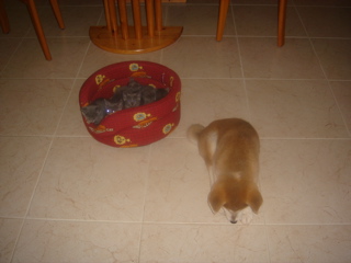DSC01345.JPG