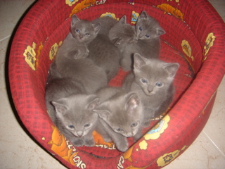 DSC01344.JPG