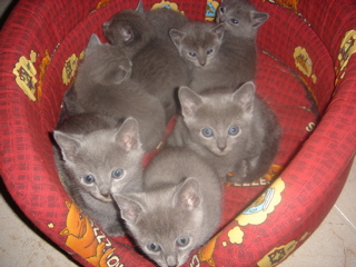 DSC01343.JPG