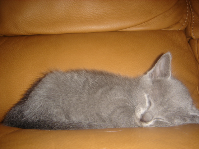 DSC01362.JPG