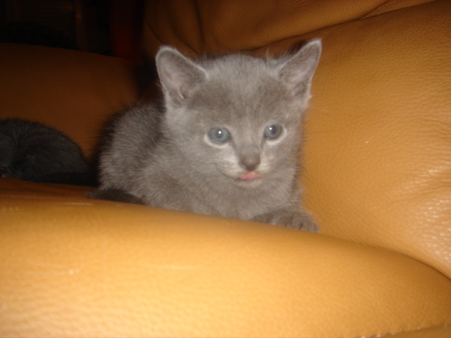 DSC01358.JPG