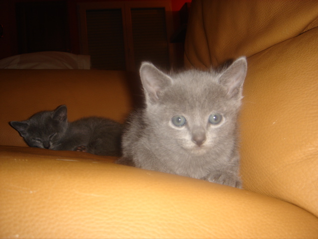 DSC01359.JPG