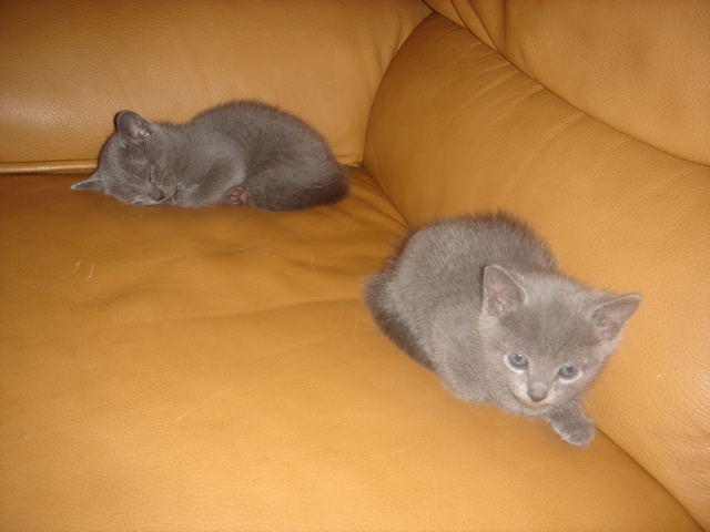 DSC01360.JPG