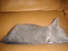 DSC01362.JPG