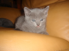 DSC01358.JPG