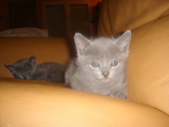 DSC01359.JPG