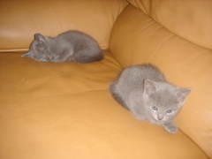 DSC01360.JPG
