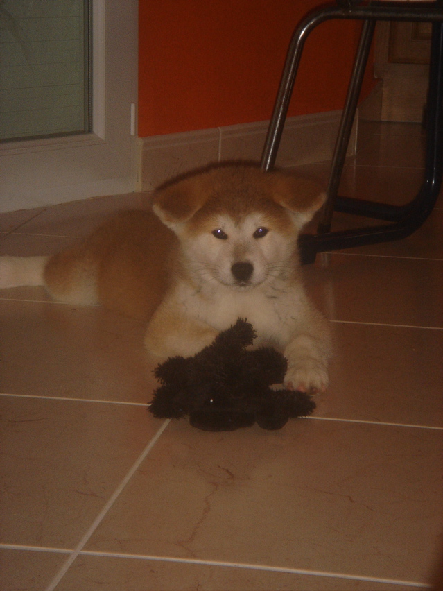 DSC01356.JPG