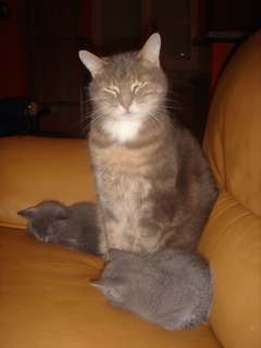 DSC01348.JPG