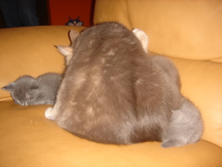 DSC01350.JPG
