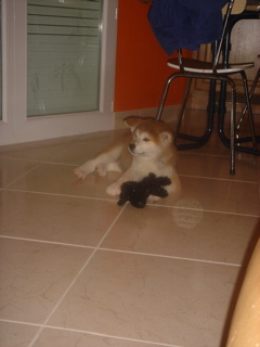 DSC01352.JPG