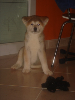DSC01353.JPG