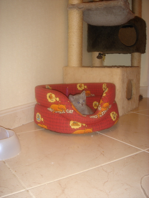 DSC01480.JPG