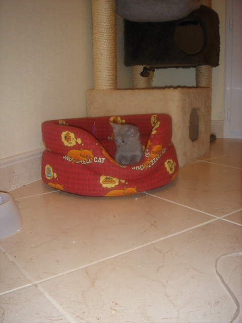 DSC01478.JPG