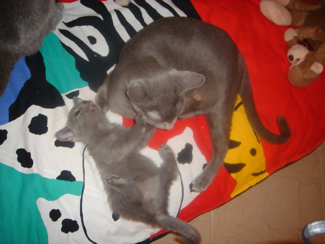 DSC01485.JPG