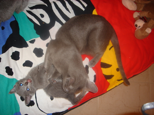 DSC01486.JPG