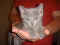 DSC01391.JPG