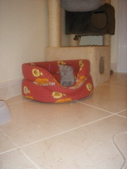 DSC01478.JPG