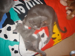 DSC01485.JPG