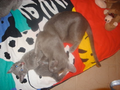 DSC01486.JPG
