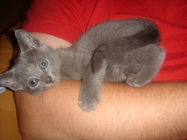 DSC01366.JPG